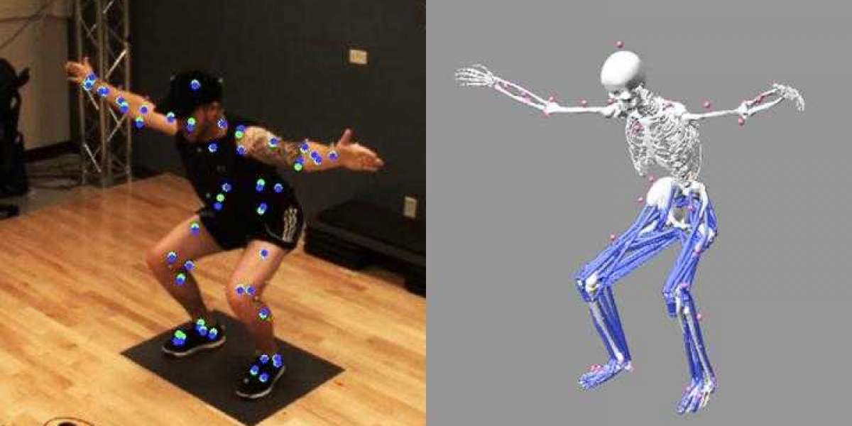 3D Motion Capture System Market-2030: Market Analysis and Forecast