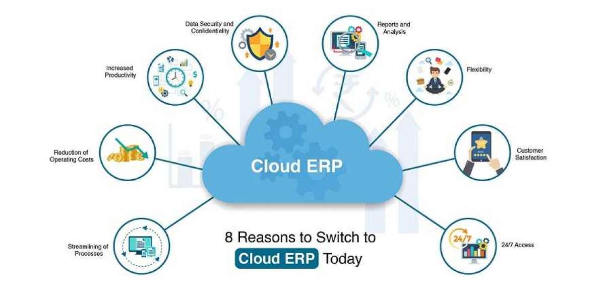 Cloud ERP Market Key Companies Profile, Sales and Cost Structure Analysis Till 2032