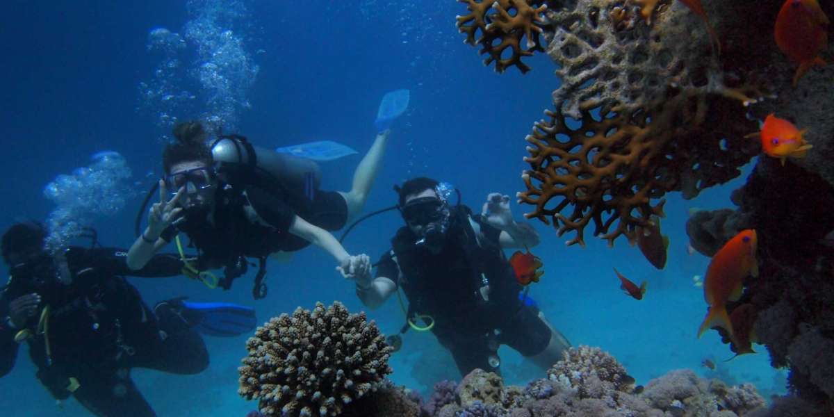 Embark on an Adventure: Scuba Diving Courses in Lakshadweep