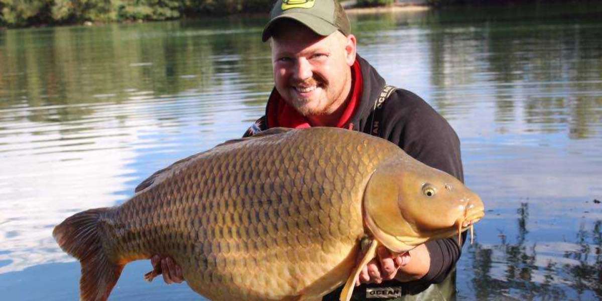 Your Ultimate Guide to a Carp Fishing Holiday