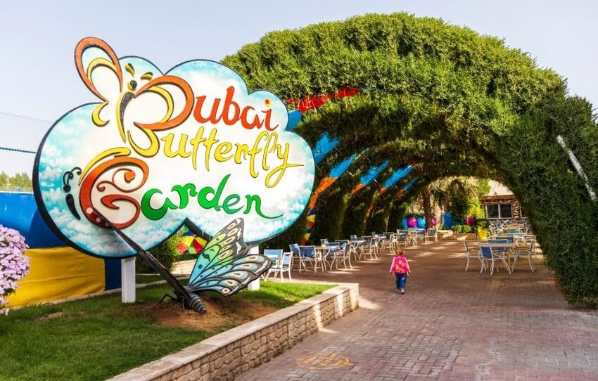 Butterfly Garden Dubai - Golden Treasure Tourism