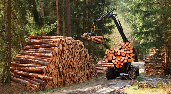 The Environmental Impact of Responsible Lot Clearing | by BW Timber Harvesting | Feb, 2024 | Medium