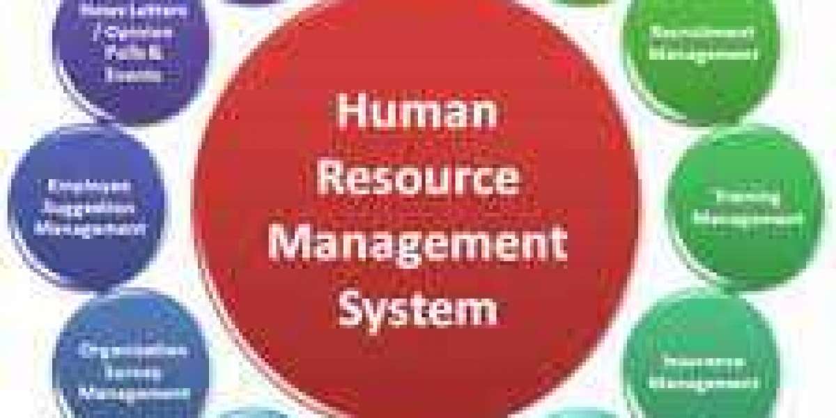Human Resources Management (HRM) Software Market Segmentation Growth Rate By 2030