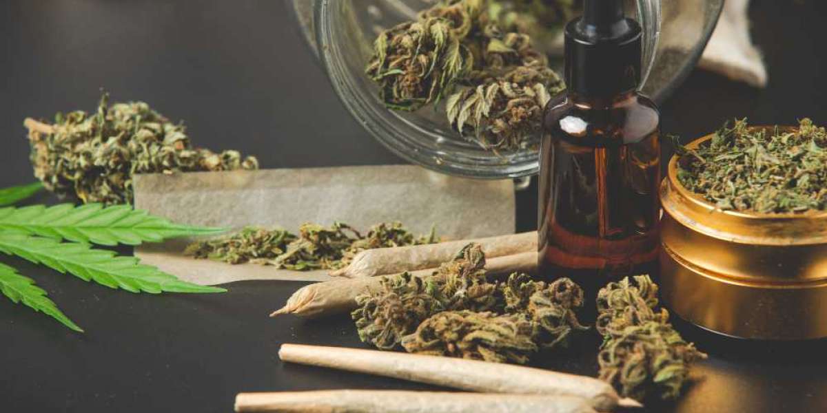 Cannabidiol Market Global Industry Share Size Future Demand Top Leading Players