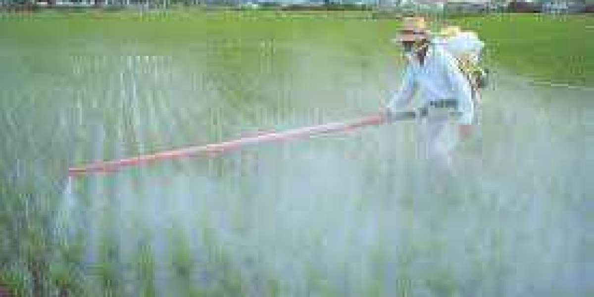 Agricultural Fumigants Market Size and Trends Report for the Period 2024-2033