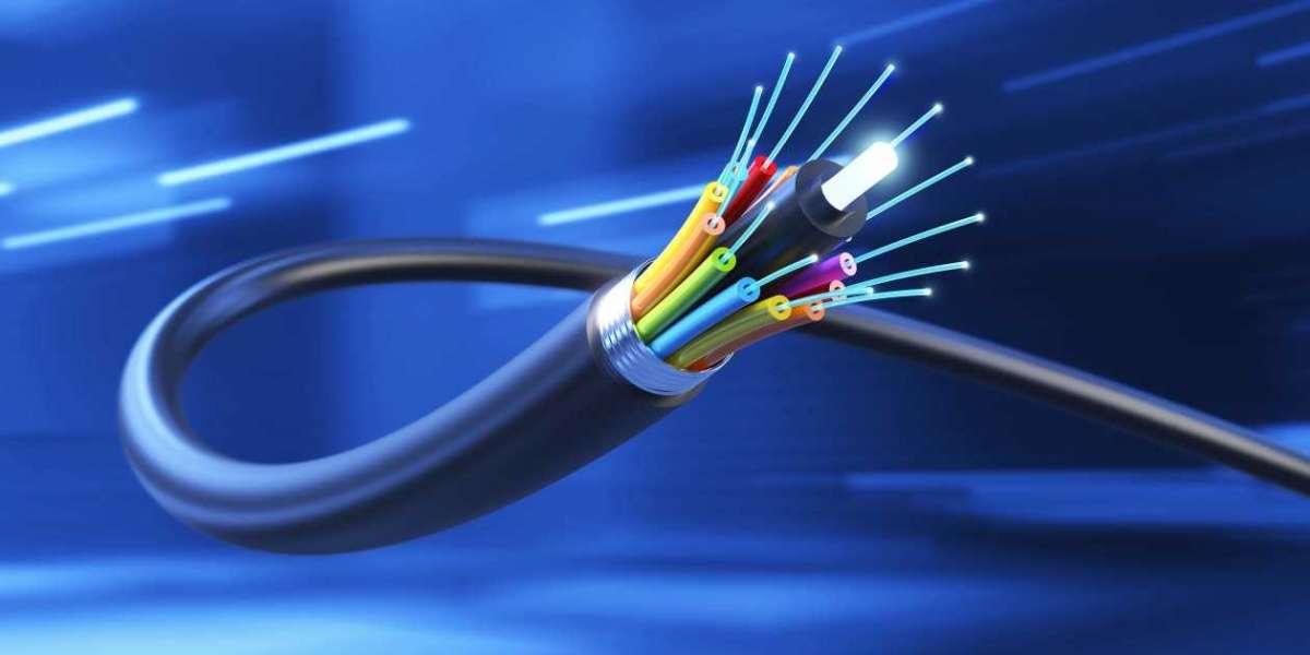 Dark Fiber Market Insights - Global Analysis and Forecast by 2030