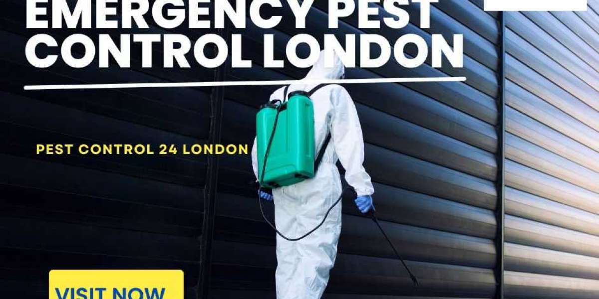 Emergency Pest Control in London | Rapid Emergency Pest Control in London