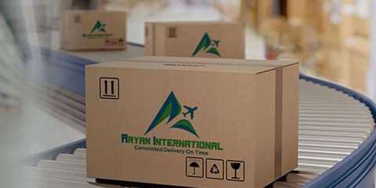 Aryan International: Elevating Expectations in International Shipping Services Across Delhi