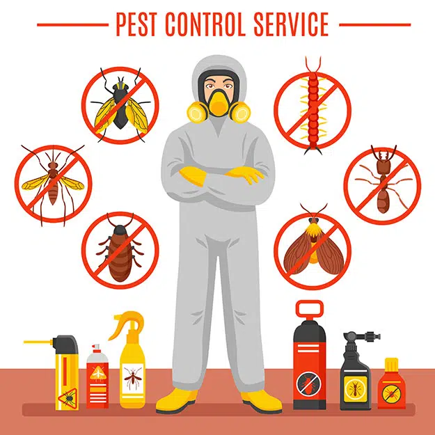 Pest Control Revolution: Next-Level Innovations Redefining the Industry