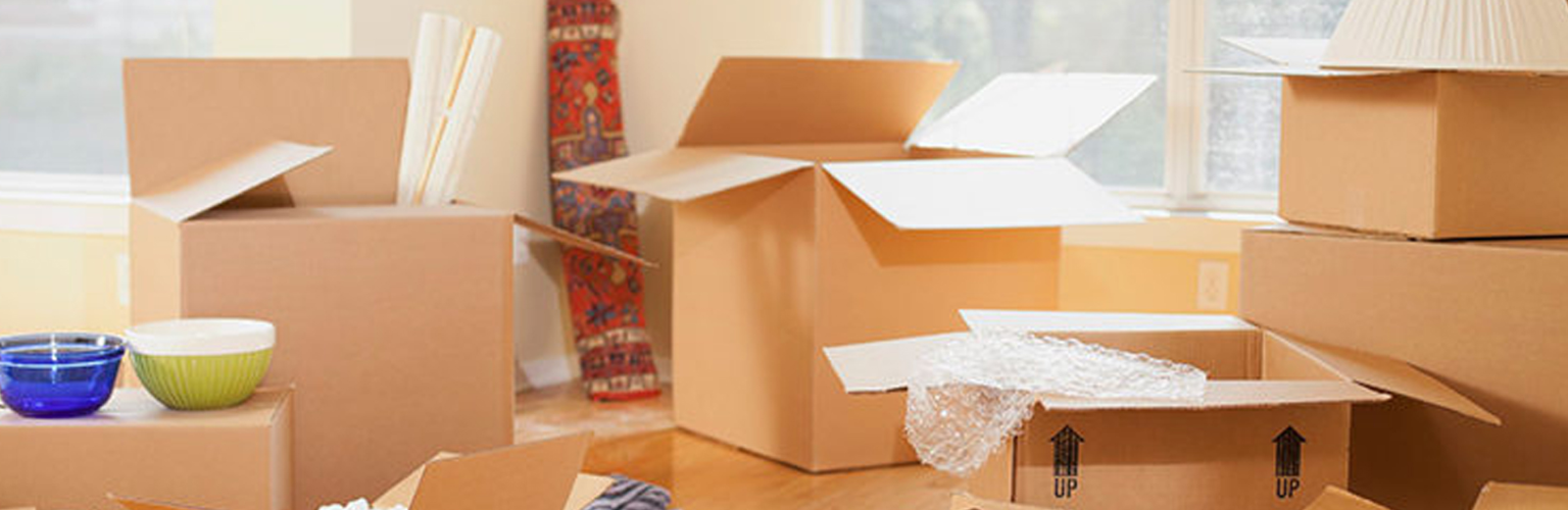 Best Packers and Movers in Noida | Aone Packer
