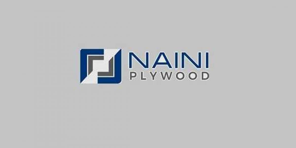 Best Plywood Manufacturer in Uttar Pradesh
