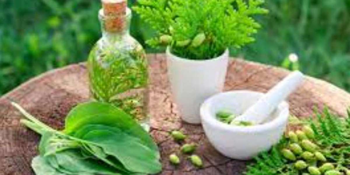 PDM Herbalife: Descoperă Puterea Naturală a Suplimentelor Alimentare
