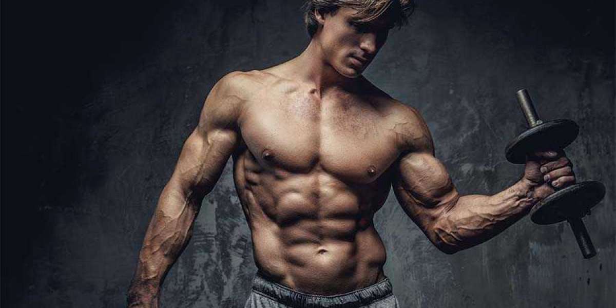 The Complete Bodybuilding Guide: Uncovering Your Self