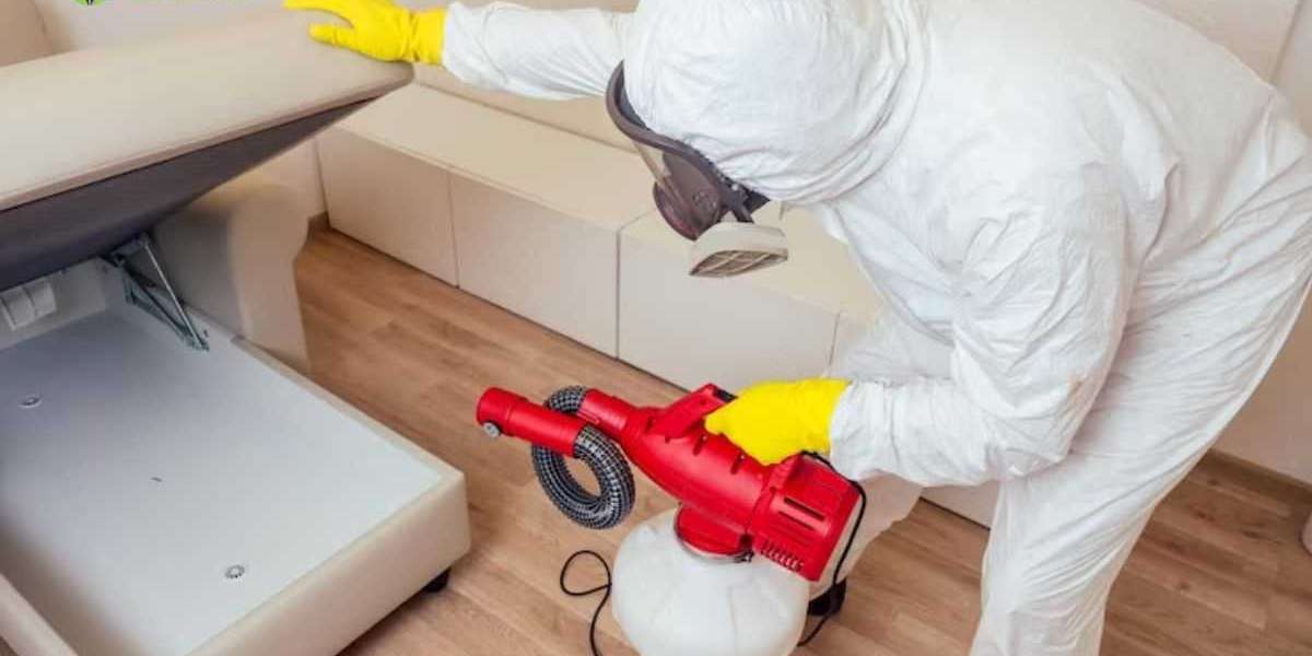 Guide to Crawl Space Cleaning in the Bay Area