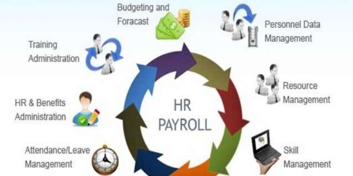 Shaping Tomorrow's Workforce: HR Payroll Software Market 2022-2030 Projections