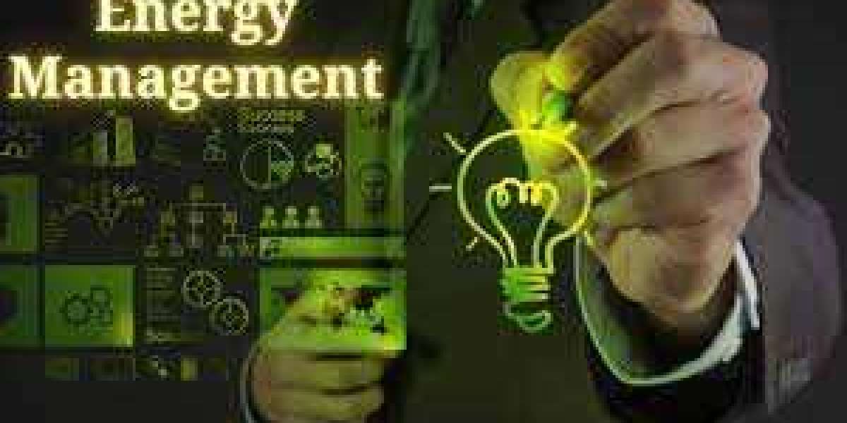 Energy Management System Market: Revenue Growth Predicted by 2020-2032