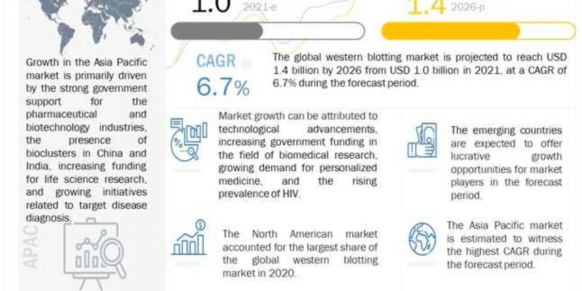 Western Blotting Market Growth Rate, CAGR, Key Players Analysis Report 2026
