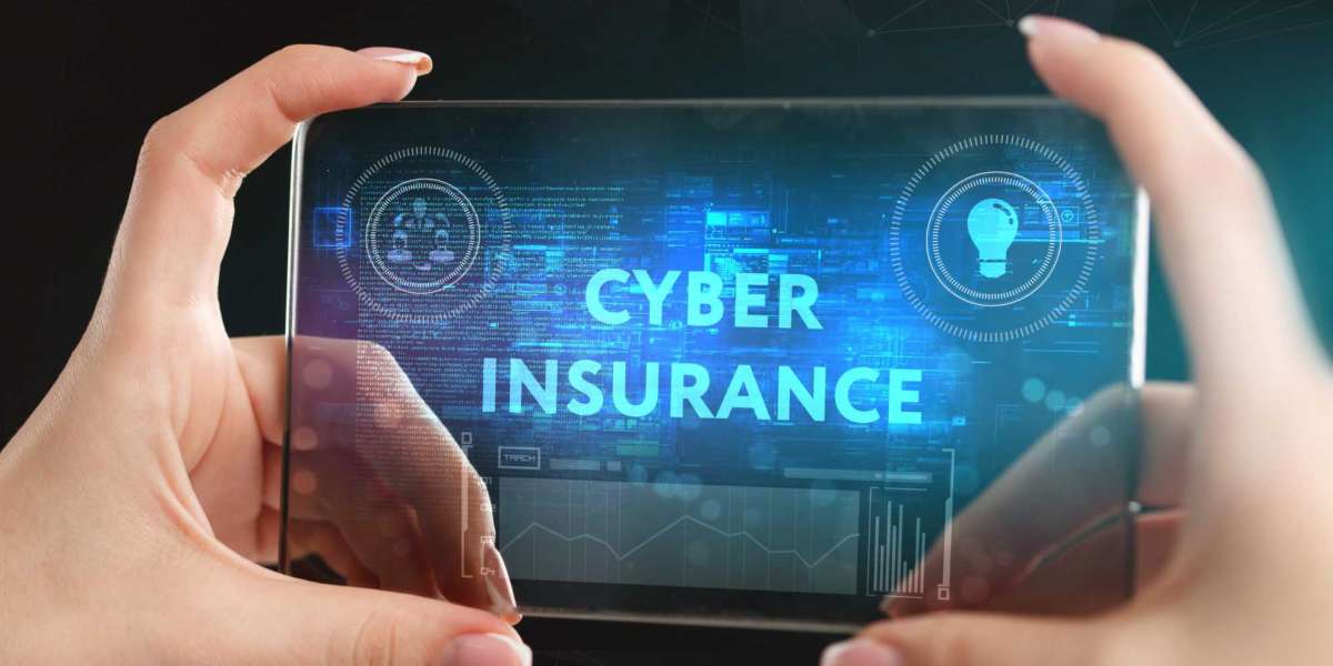 Cyber Insurance  Market Business Strategies, Revenue and Growth Rate Upto 2029