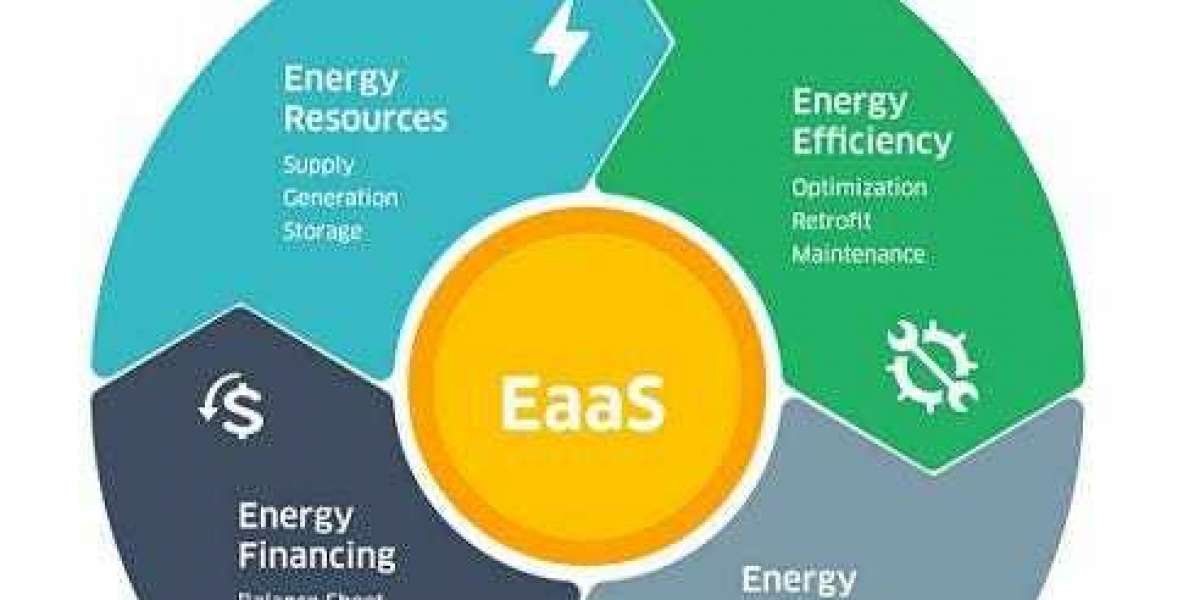 Energy as a Service Market Survey and Forecast Report 2030