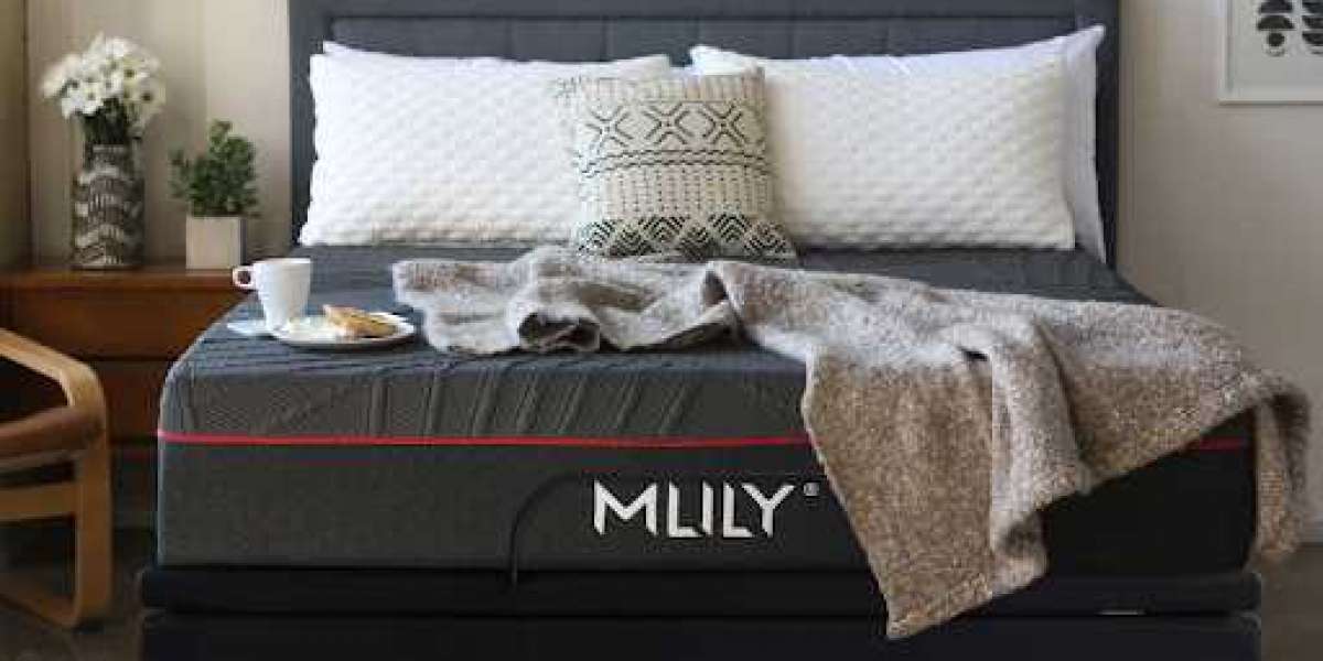 The Art of Restful Nights: Unveiling the Marvels of MLILY Mattresses and Bed Pillows