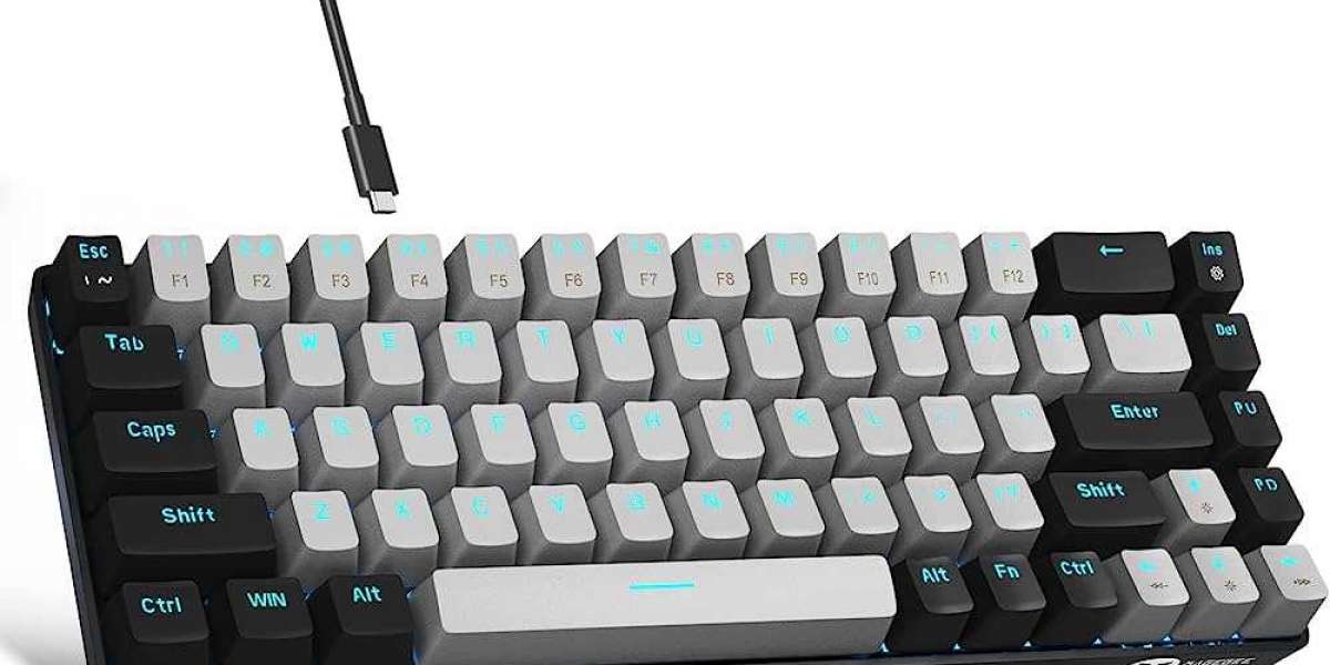 Mechanical Keyboards Market: Revenue Growth Predicted by 2020-2032