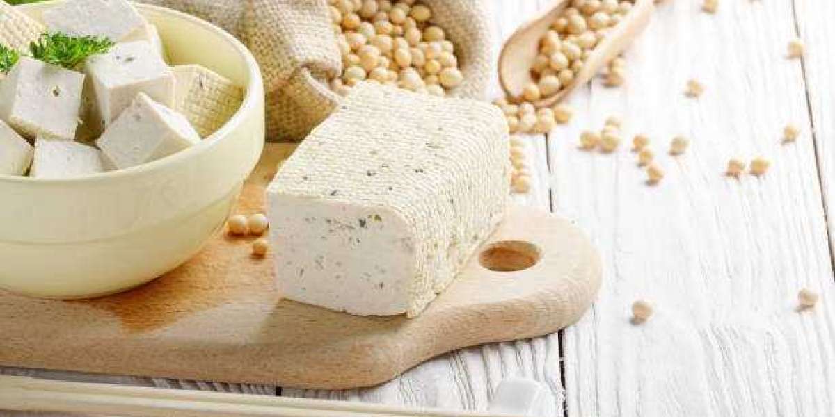 Non-Dairy Cheese Market Report: Opportunity Analysis and Industry Forecasts to 2032