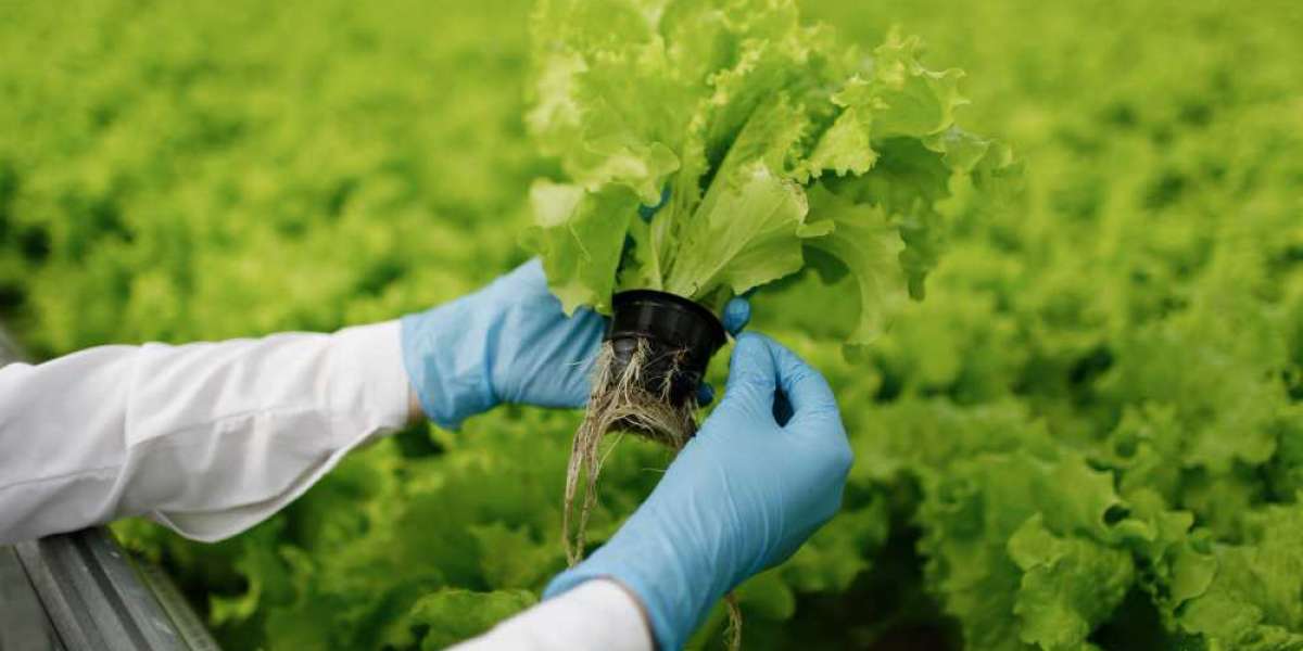 Agricultural Biologicals Market Analysis Business Revenue Forecast Size Leading Competitors And Growth Trends