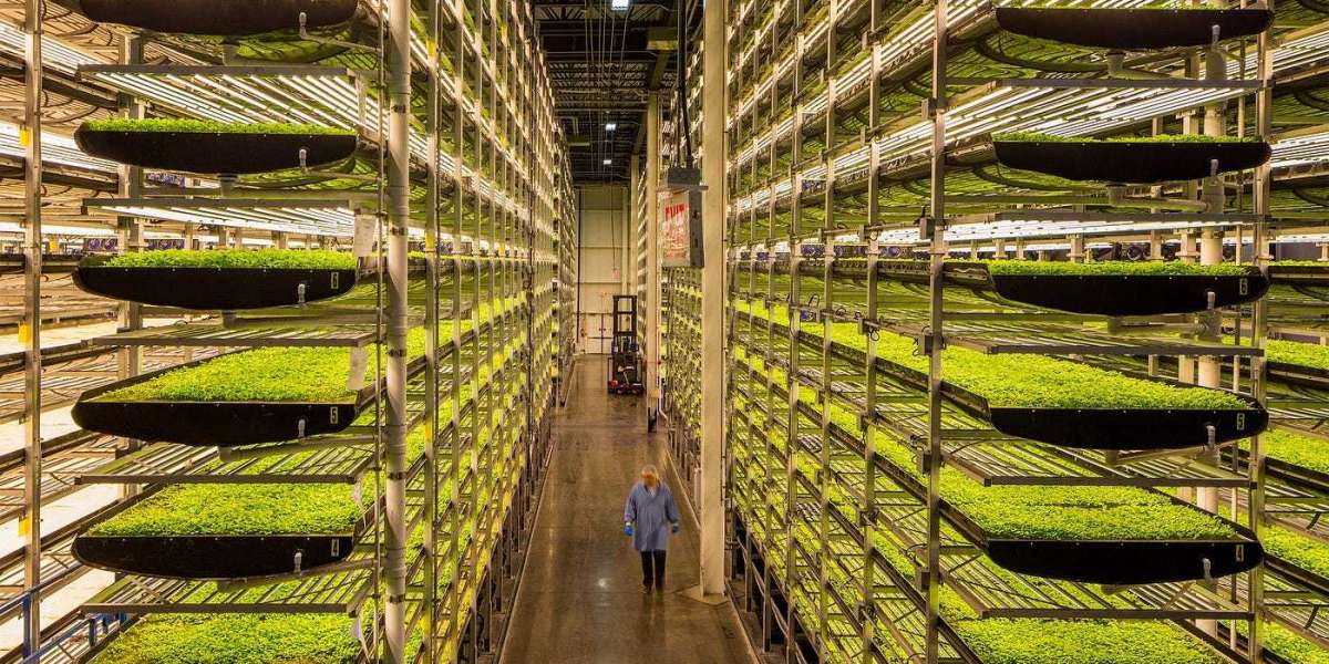 Vertical Farming Market Challenges, Leading Key Players Review, Demand and Upcoming Trend by Forecast to 2032