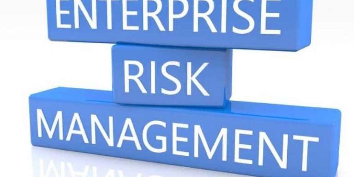 Enterprise Risk Management Market Global Industry Perspective, Comprehensive Analysis and Forecast 2032