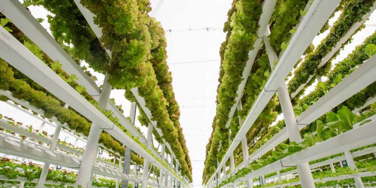 Vertical Farming Market : Forecast, Business Strategy, Research Analysis on Competitive landscape and Key Vendors 2032