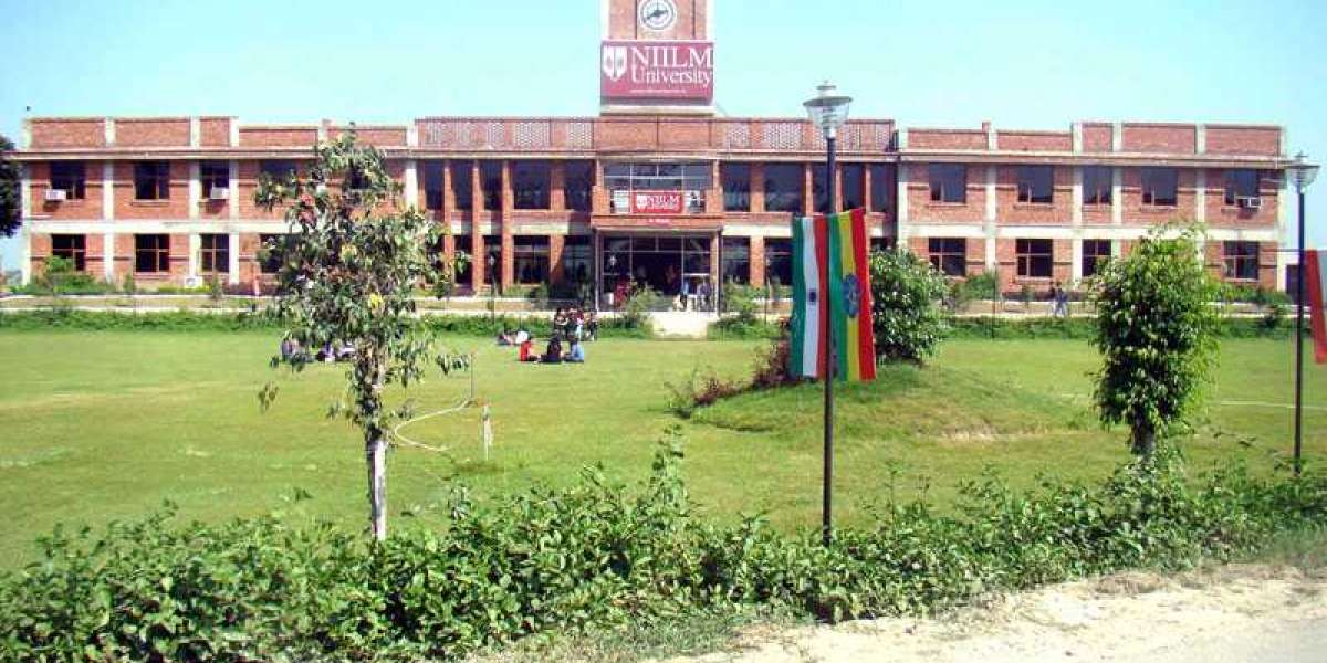 Noida International University Admission 2024: Your Gateway to Academic Excellence