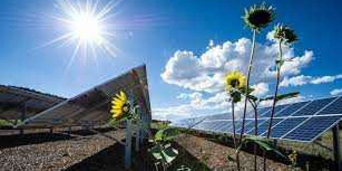 Photovoltaic Market: Latest Innovations, Research, Segment, Progress, Growth Rate, and Global Forecast 2030