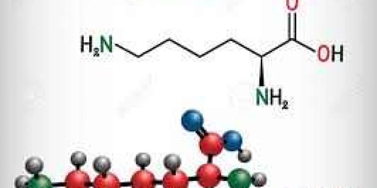 Lysine Market Size Industry Demand and Sales Forecast 2024-2030"