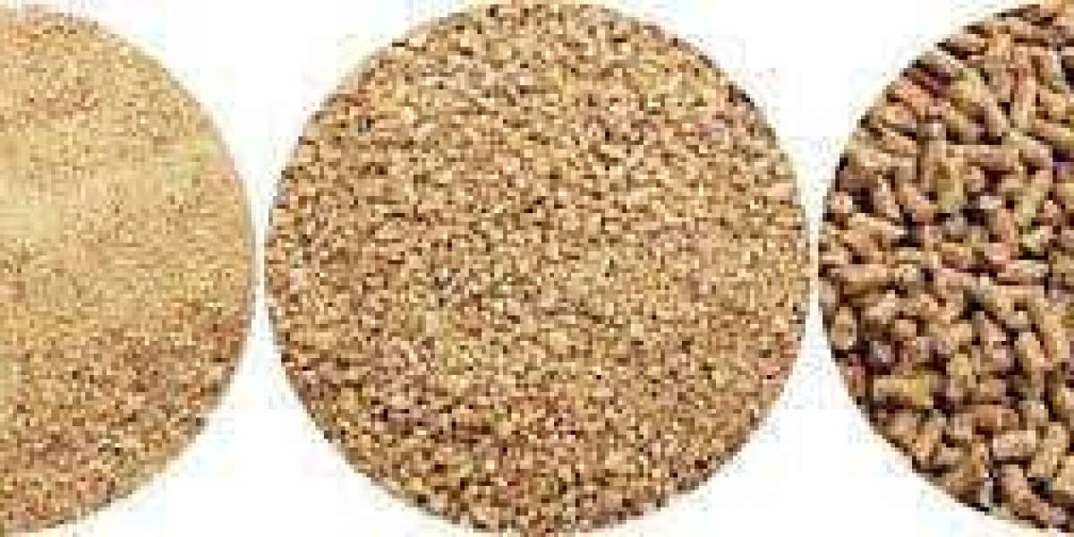 Compound Feed Market Agricultural Productivity: Growth Opportunities in  (2024-2033)