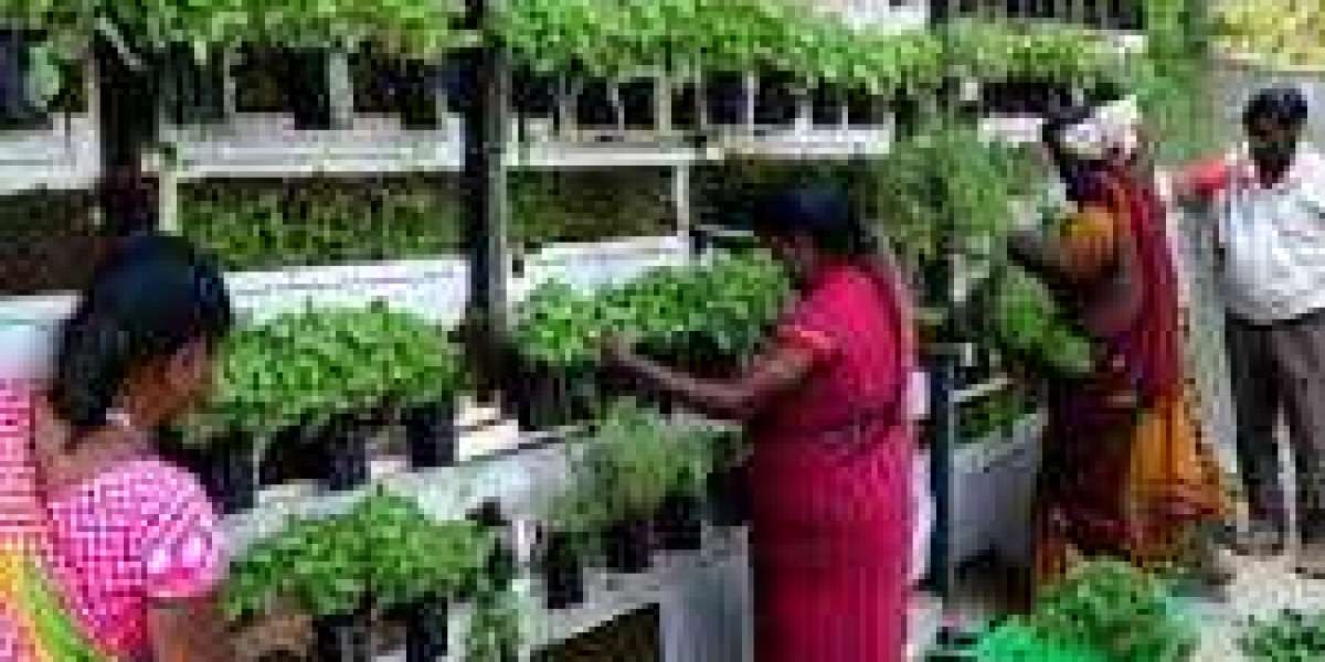 India's Vertical Farming Market : Segmentation, Competitive Landscape, And Forecast To 2032