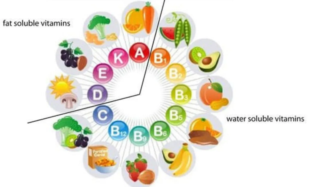 Water-Soluble Vitamins & Minerals in Feed Market  7.60% CAGR, Reaching USD 17.2 Billion by 2032