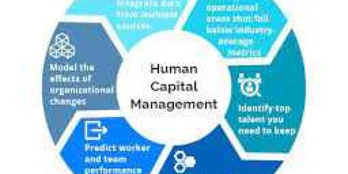 Human Capital Management (HCM) Software Market Professional Survey Report 2030