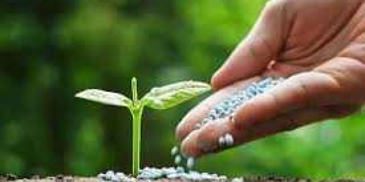 US Bio Fertilizers Market Share and Trends Forecast 2024-2030"