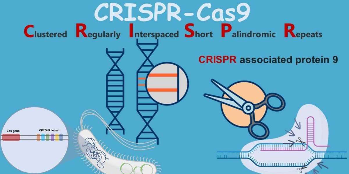 CRISPR Technology Market Analysis Business Revenue Forecast Size Leading Competitors And Growth Trends