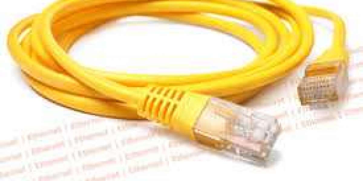 LAN Cable Market: Profits, Comprehensive Landscape, Current and Future Growth by Forecast to 2030