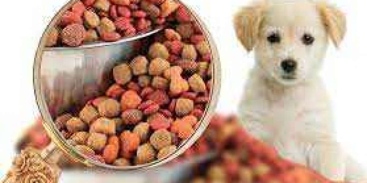 Pet Food Market Dynamics: Analyzing Trends, Size, and Industry Share for 2024-2030