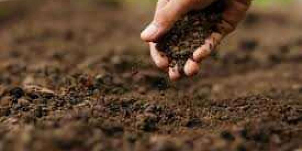 Soil Stabilization Market Growth Analysis and Projections By Report.
