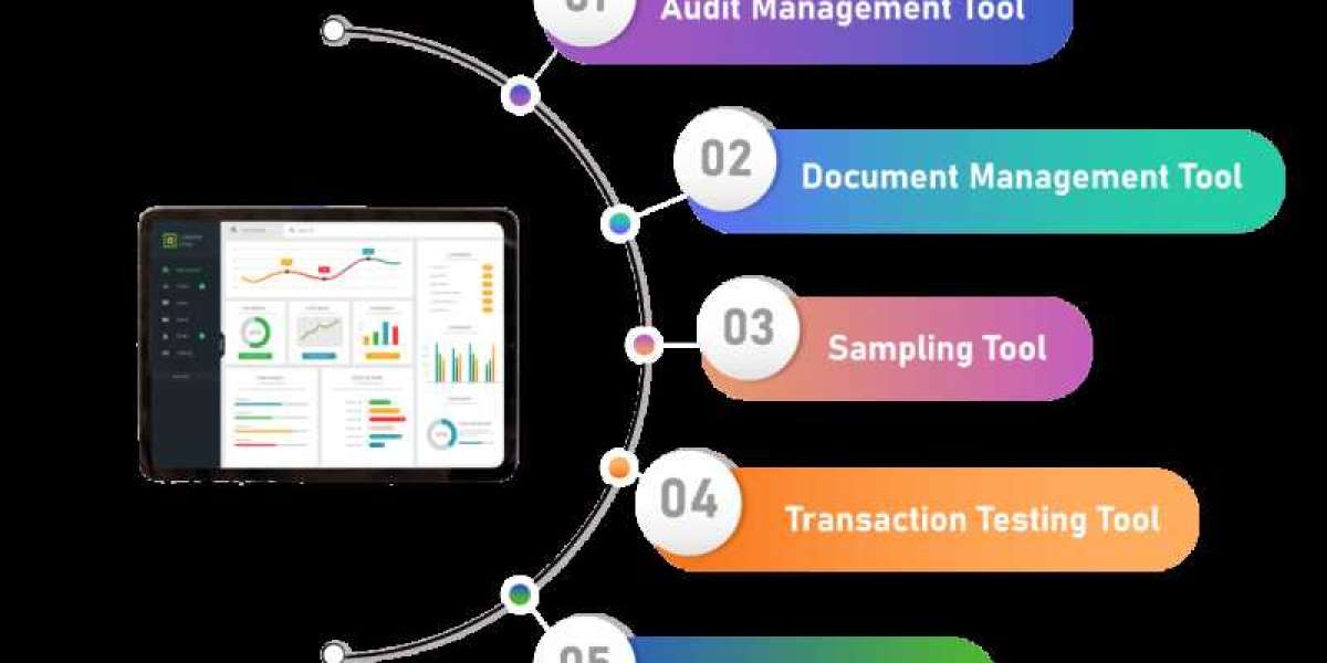 Audit Software Market Revenue, Statistics, Industry Growth and Demand Analysis Research Report by 2030