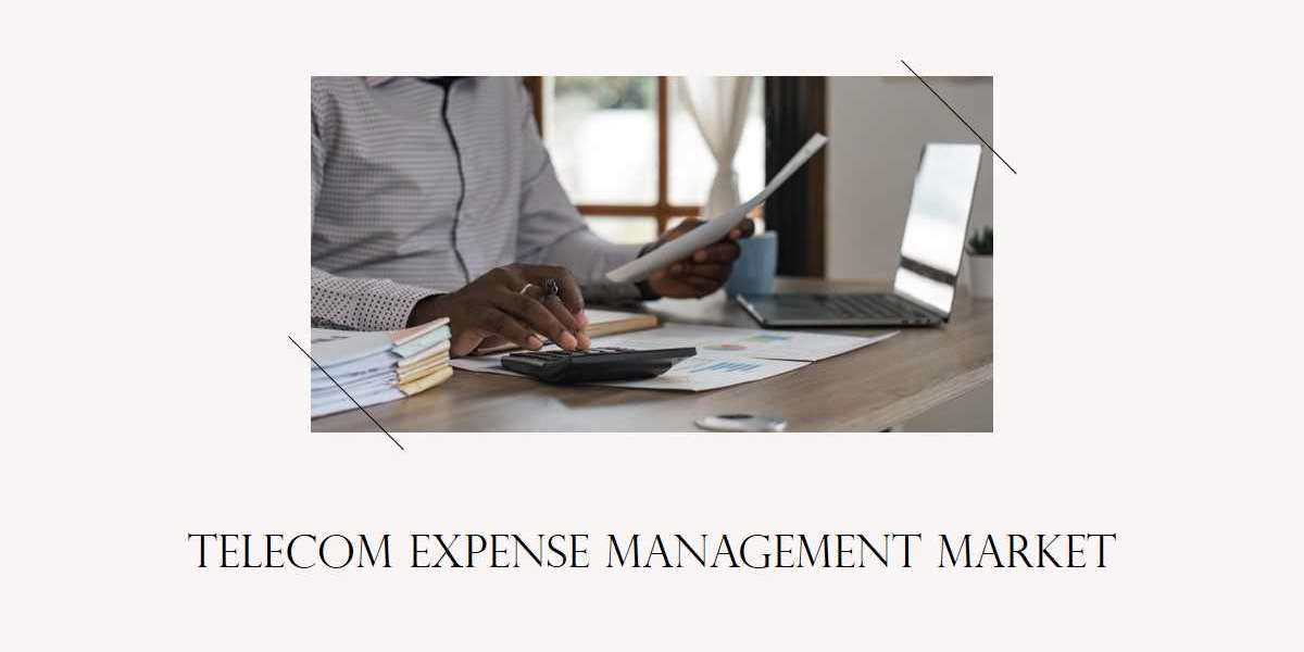 Telecom Expense Management Market to Witness Robust Growth by 2030| Top Players