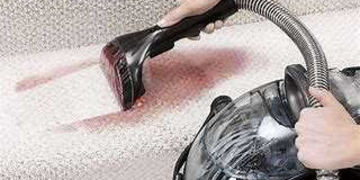 Professional Carpet Cleaning Services for Damage Control