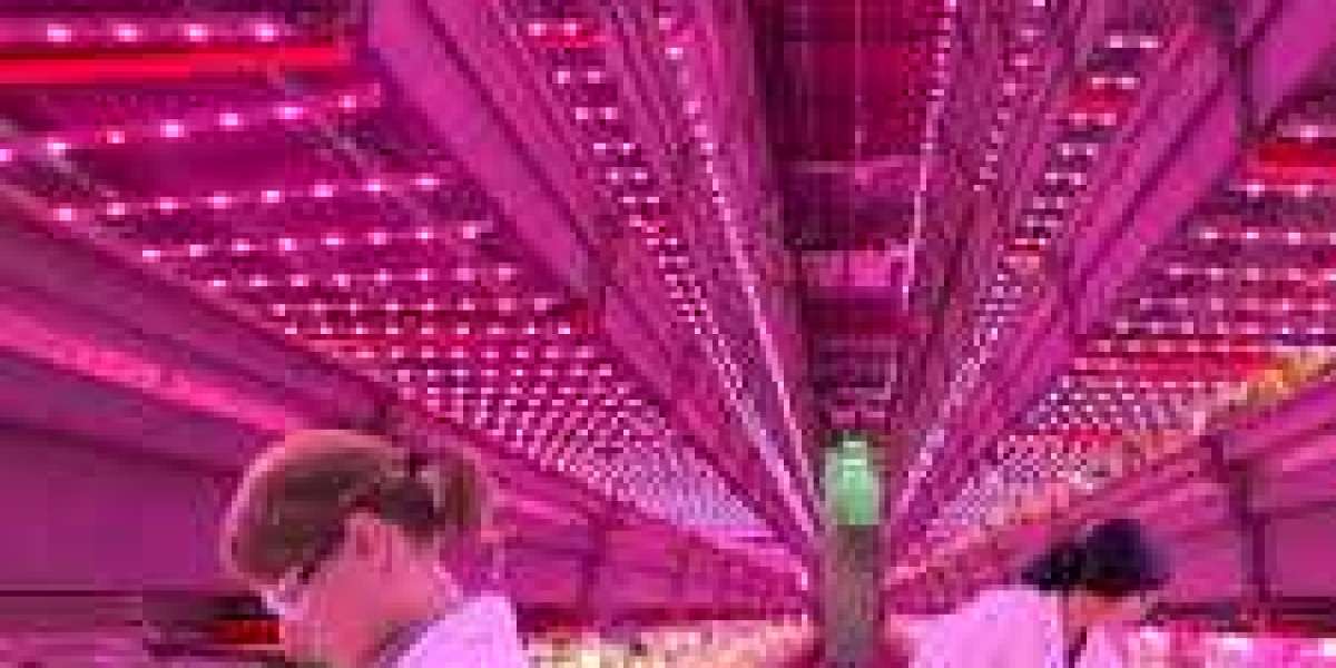 horticulture lighting market : Opportunities, Demand, Growth, Application and Forecast to 2032