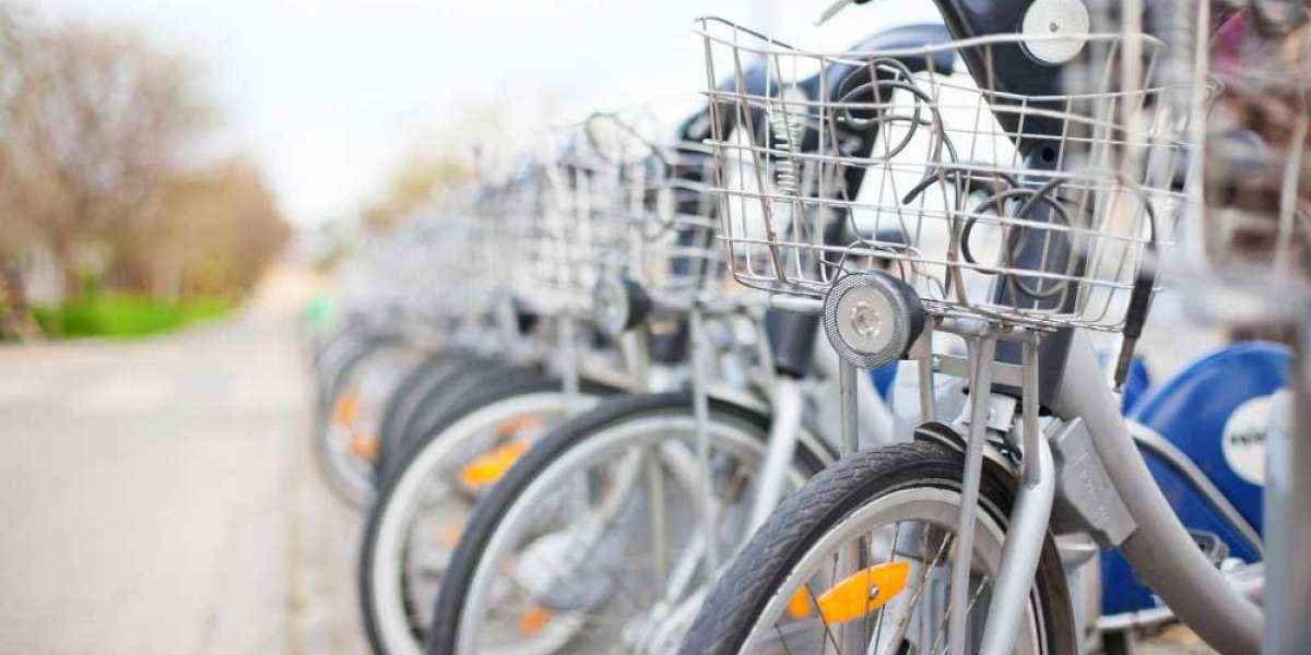 Bicycle Market Forecast: Projections and Growth Opportunities and 2024 Forecast Study