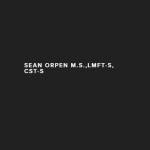 Sean Orpen MS LMFT Inc