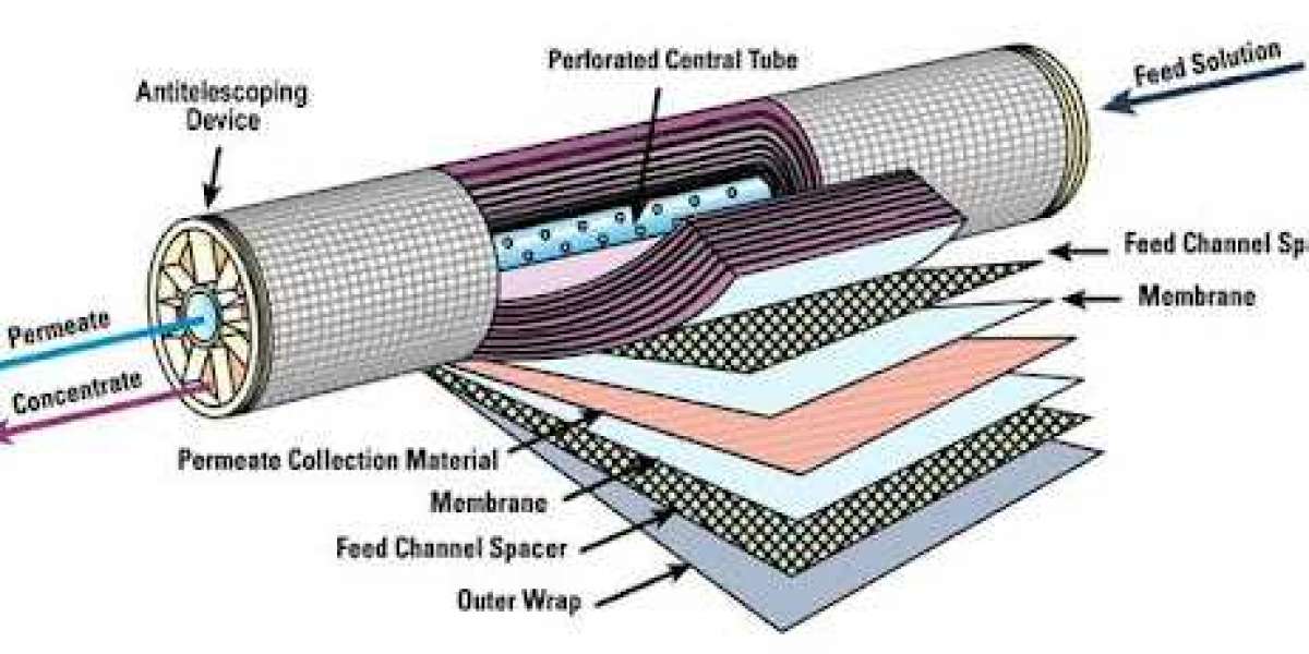 Membrane Filtration Market Revenue Share Key Growth Trends Major Players and Forecast 2024–2030