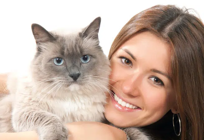 Simplifying International Cat Transport: A Hassle-Free Solution for Pet Owners